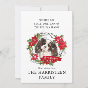 Cartes Pour Fêtes Annuelles Le roi Charles Spaniel Tricolor Poinsettia Noël