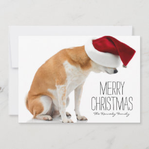 Cartes Pour Fêtes Annuelles Le studio a tiré du chien de Shiba Inu utilisant