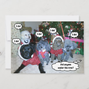 Cartes Pour Fêtes Annuelles Les Chiens Amusants Aident À Arroser L'Arbre De No