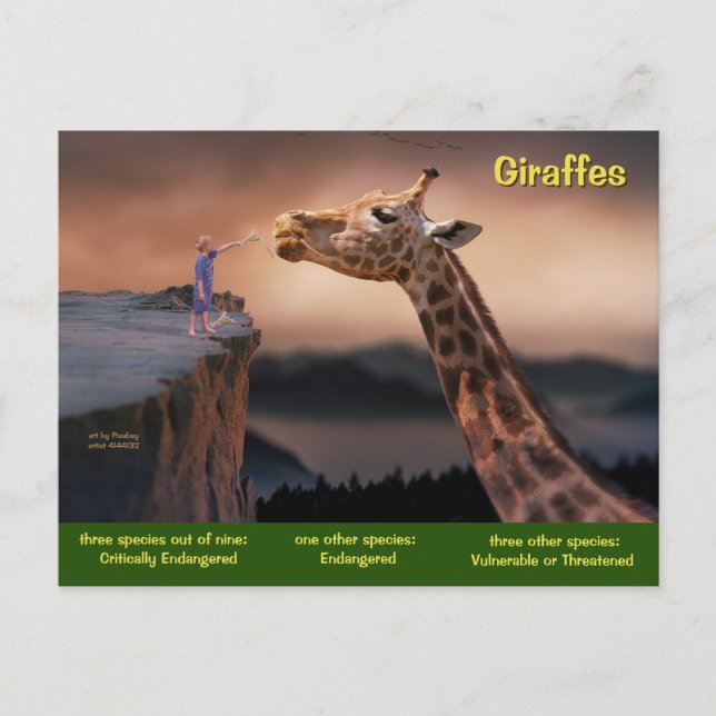 Cartes Pour Fêtes Annuelles Les espèces de girafe sont maintenant en danger - (Devant)
