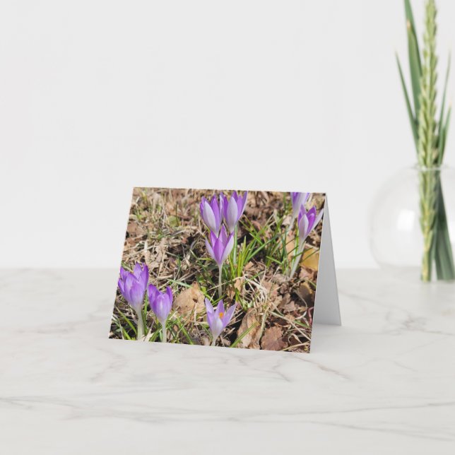 Cartes Pour Fêtes Annuelles Les fleurs de crocus printanières (Devant)