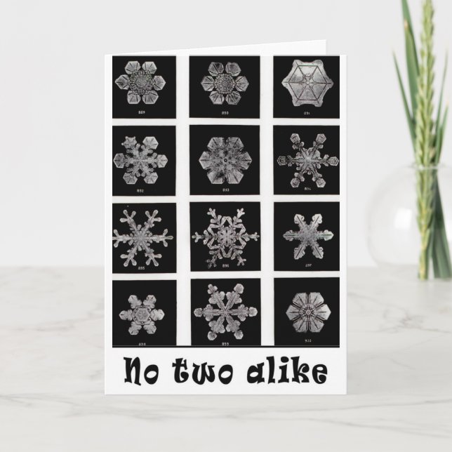 Cartes Pour Fêtes Annuelles Les flocons de neige de Wilson Bentley, 1902 (Devant)