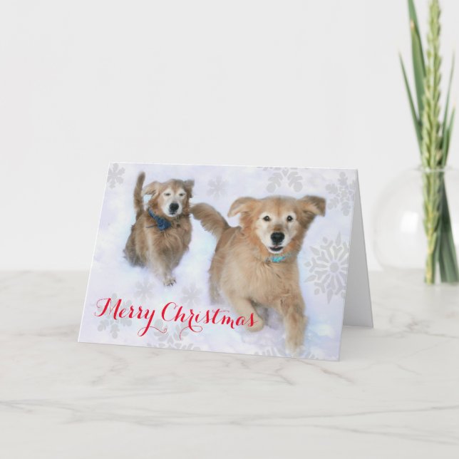 Cartes Pour Fêtes Annuelles Les Golden Retrievers Dashu à travers la neige Noë (Devant)