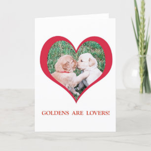 Cartes Pour Fêtes Annuelles Les Golden Retrievers sont des amoureux !  St-Vale