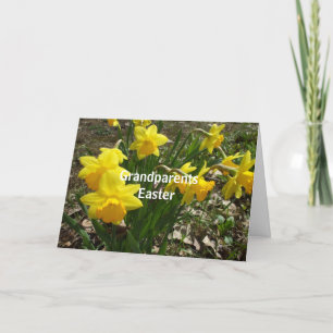 Cartes Pour Fêtes Annuelles Les jonquilles pour les voeux de Pâques de grand-p