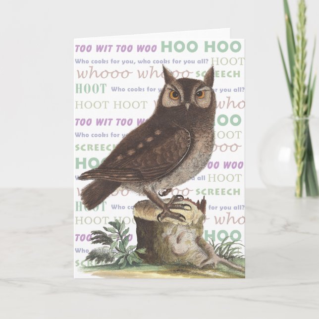 Cartes Pour Fêtes Annuelles Les Merveilleuses Chouettes Sonores Fabriquées - I (Devant)