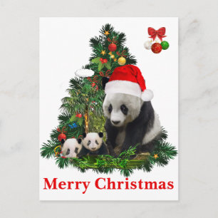 Cartes Pour Fêtes Annuelles Les pandas de Noël