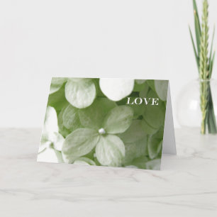 Cartes Pour Fêtes Annuelles Les racines de l'amour...