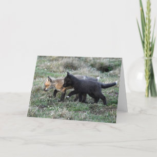 Cartes Pour Fêtes Annuelles Les renards des bébés sur le poulailler