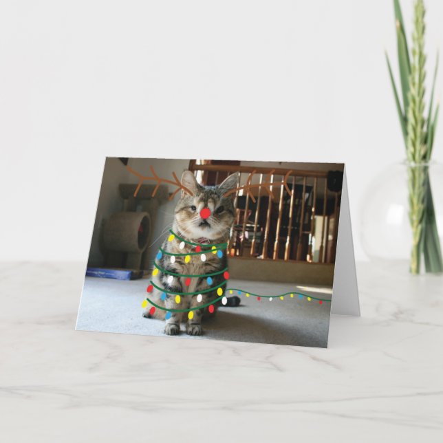 Cartes Pour Fêtes Annuelles Les salutations de Sneezin (Devant)