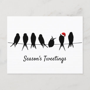 Cartes Pour Fêtes Annuelles Les Tweets de la saison Oiseaux noirs sur un fil 