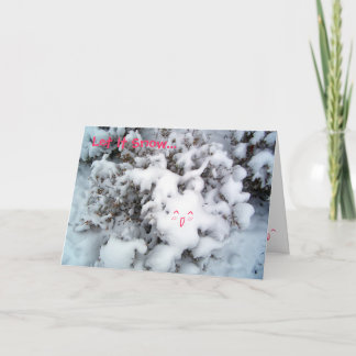 Cartes Pour Fêtes Annuelles Let It Snow.