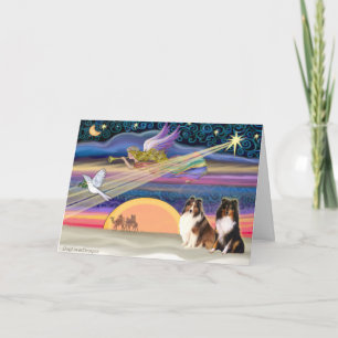 Cartes Pour Fêtes Annuelles L'Étoile de Noël - Shetland Sheepdog (2)