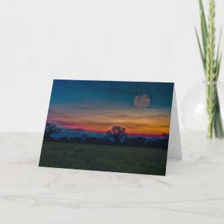 Cartes Pour Fêtes Annuelles Lever de la lune magique au-dessus des arbres de