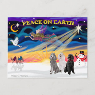 Cartes Pour Fêtes Annuelles Lever de soleil de Noël - Trois caniches standards