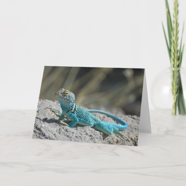 Cartes Pour Fêtes Annuelles Lézard colleté oriental (Devant)