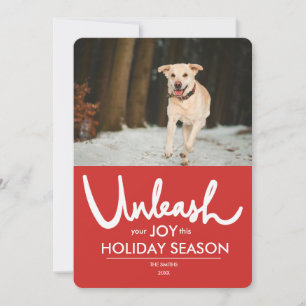 Cartes Pour Fêtes Annuelles Libérer Funny Chien vacances photo