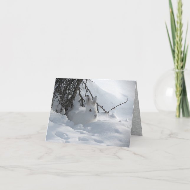 Cartes Pour Fêtes Annuelles Lièvre de raquette sous Bush en neige (Devant)