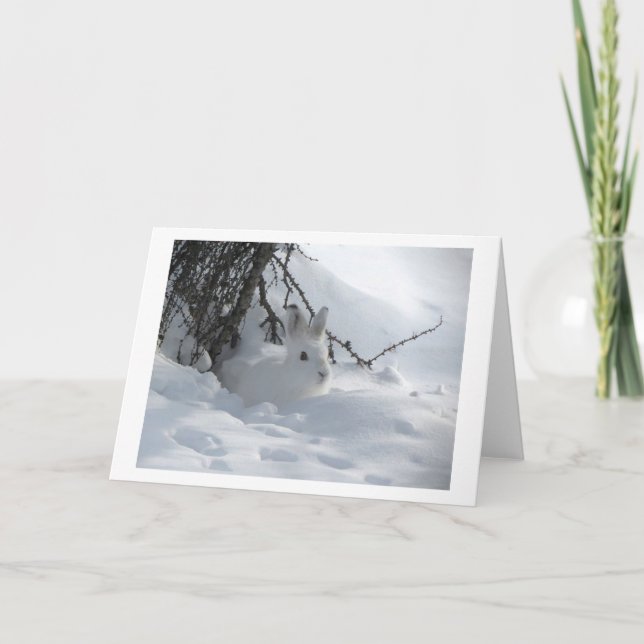 CARTES POUR FÊTES ANNUELLES LIÈVRES BLANCS DANS LA NEIGE (Devant)