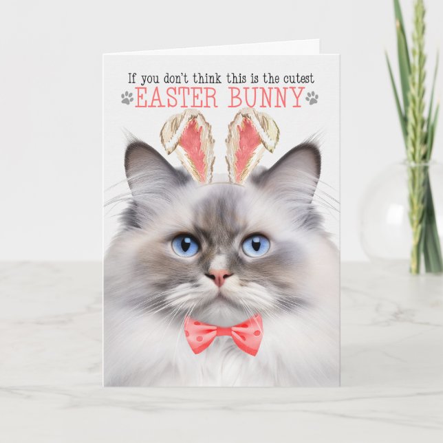 Cartes Pour Fêtes Annuelles Lilac Point Ragdoll Cutest Bunny Kitty Puns (Devant)