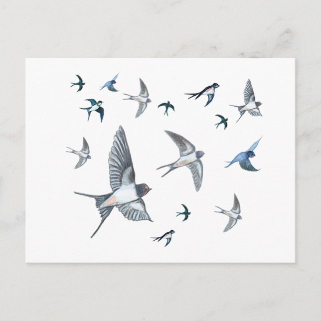 Cartes Pour Fêtes Annuelles L'Illustration De L'Avalière Volante (Devant)