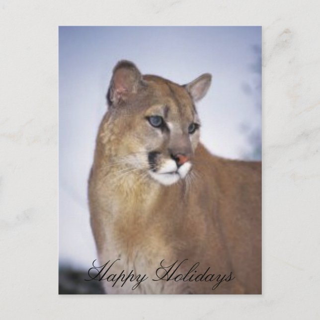Cartes Pour Fêtes Annuelles lioness2, Joyeuses fêtes (Devant)