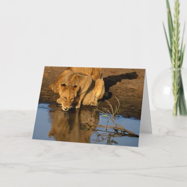 Cartes Pour Fêtes Annuelles Lions et petits animaux (Devant)