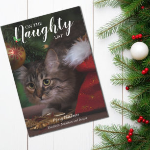 Cartes Pour Fêtes Annuelles Liste de vilains Noël Animaux de compagnie Photo