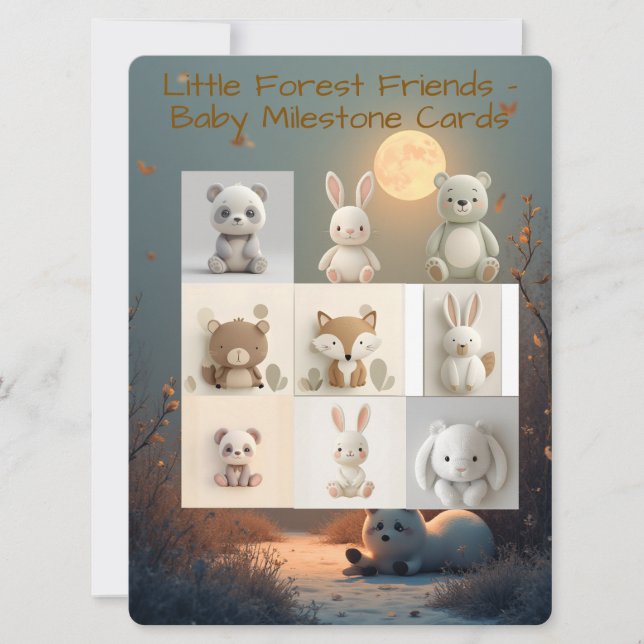 Cartes Pour Fêtes Annuelles Little Forest Friends Baby Milestone Cards – Compl (Devant)