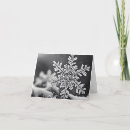 Cartes Pour Fêtes Annuelles Little Snowflake