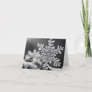 Cartes Pour Fêtes Annuelles Little Snowflake