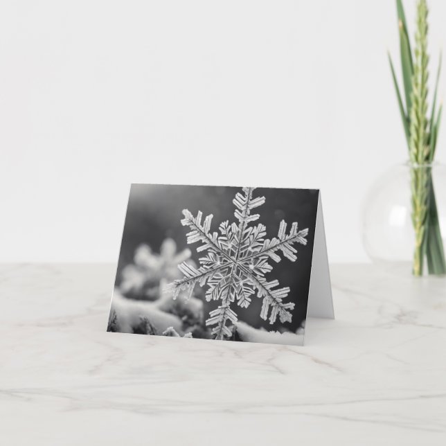 Cartes Pour Fêtes Annuelles Little Snowflake (Devant)