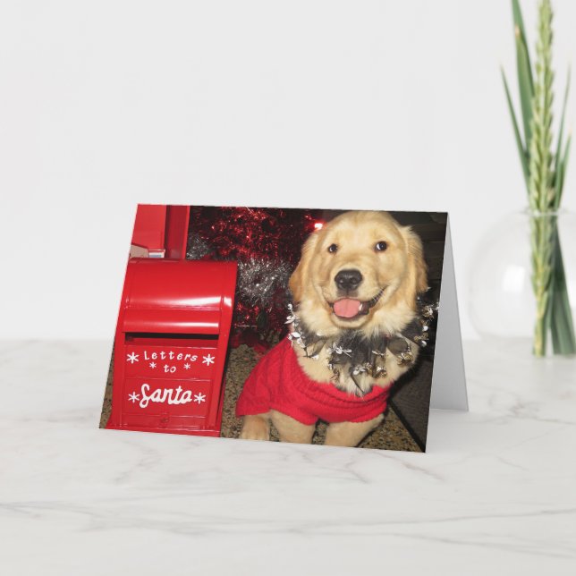 Cartes Pour Fêtes Annuelles Livraison de Noël à la marionnette Golden Retrieve (Devant)
