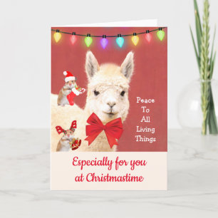 Cartes Pour Fêtes Annuelles Llama À Noël Paix À Tous