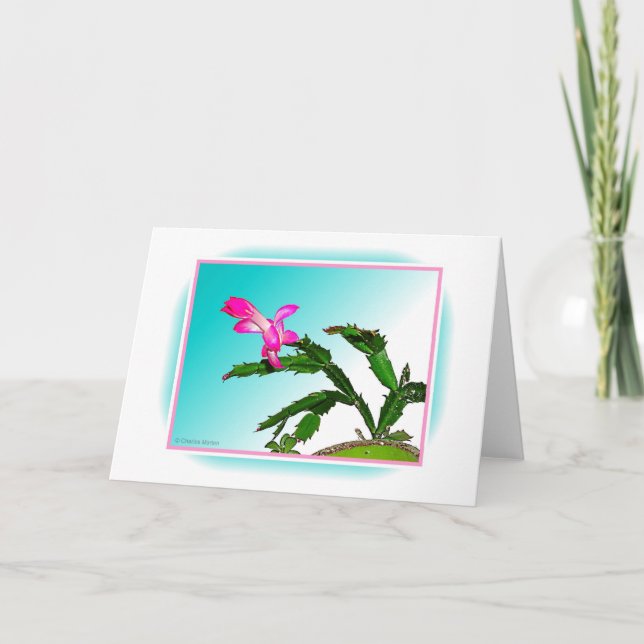 Cartes Pour Fêtes Annuelles Logo de fleur de Noël (Devant)