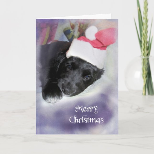 Cartes Pour Fêtes Annuelles Lola à Noël (Devant)