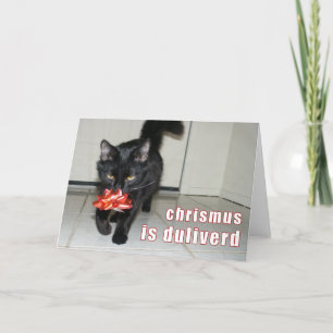 Cartes Pour Fêtes Annuelles lolcat Christmas Card