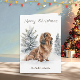 Cartes Pour Fêtes Annuelles Long Haired Dachshund Saucisse Chien Joyeux Noël