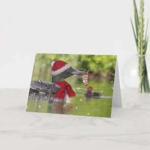 Cartes Pour Fêtes Annuelles Loon de Noël et poussin