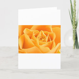 CARTES POUR FÊTES ANNUELLES L'ORANGE S'EST LEVÉE