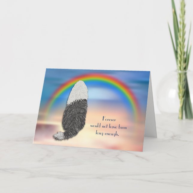 Cartes Pour Fêtes Annuelles Loss of Bearded Collie Dog Rainbow Sympathy Card (Devant)