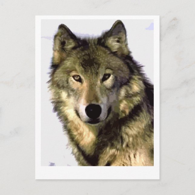 Cartes Pour Fêtes Annuelles Loup gris (Devant)