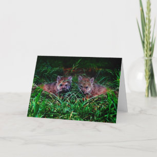Cartes Pour Fêtes Annuelles Loups