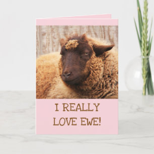 Cartes Pour Fêtes Annuelles LOVE EWE Sheep Valentine's Day