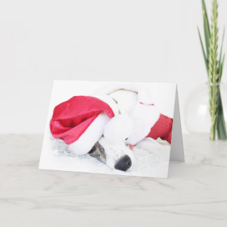 Cartes Pour Fêtes Annuelles Love peace and cookies par Ryder