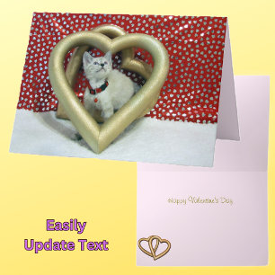 Cartes Pour Fêtes Annuelles Love Phoenix - Cat Valentine's Card