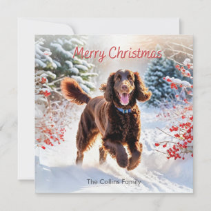 Cartes Pour Fêtes Annuelles Lutin d'eau irlandais dans la neige Joyeux Noël d'