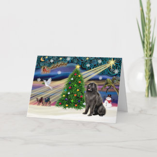 Cartes Pour Fêtes Annuelles Magic-Newfie de Noël