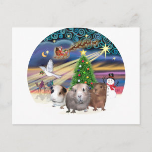 Cartes Pour Fêtes Annuelles Magie de Noël - 3 Cochons de Guinée