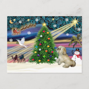 Cartes Pour Fêtes Annuelles Magie de Noël Lhasa Apso 7